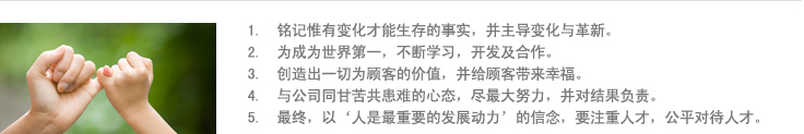 1.  铭记惟有变化才能生存的事实，并主导变化与革新。 
2.  为成为世界第一，不断学习，开发及合作。
3.  创造出一切为顾客的价值，并给顾客带来幸福。 
4.  与公司同甘苦共患难的心态，尽最大努力，并对结果负责。 
5.  最终，以‘人是最重要的发展动力’的信念，要注重人才，公平对待人才。 